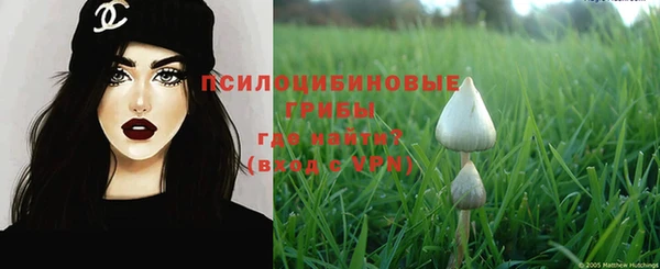 мдма Козельск