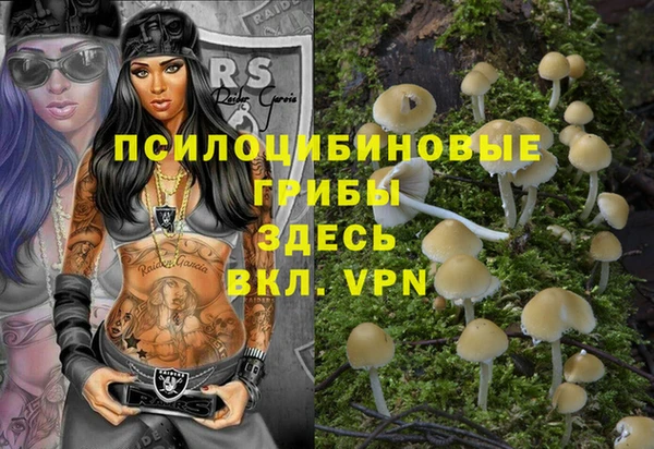 мдма Козельск