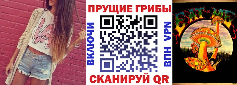 Купить где  Белово  Галлюциногенные грибы Cubensis 
